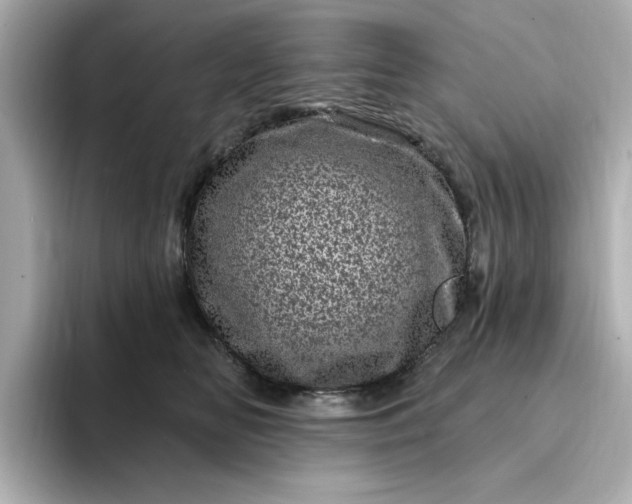 X0000095130518200712211332