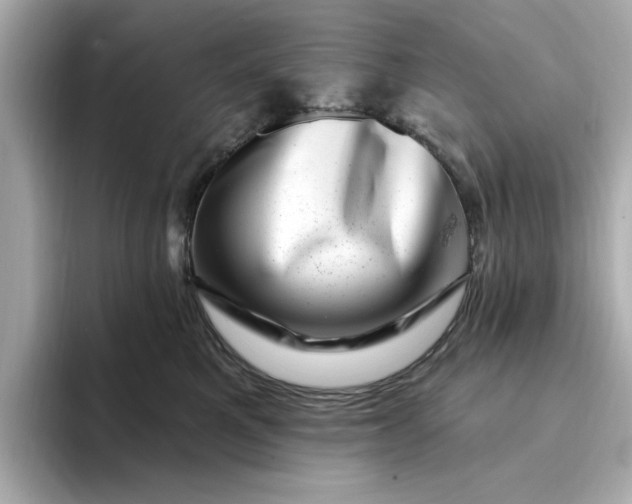 X0000095130521200712211332