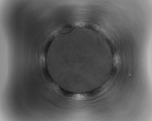 X0000095130522200712211332