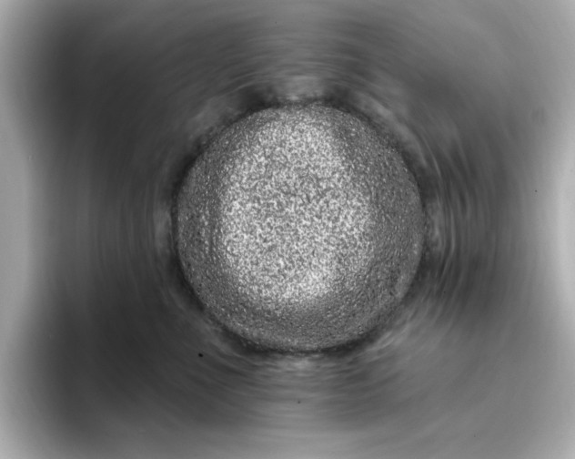 X0000095130523200712211332