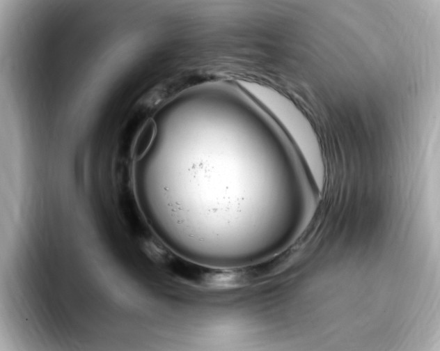 X0000095130527200712211332