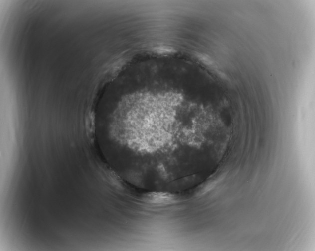 X0000095130528200712211332