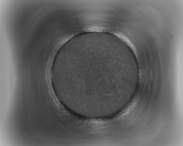 X0000095130529200712211332