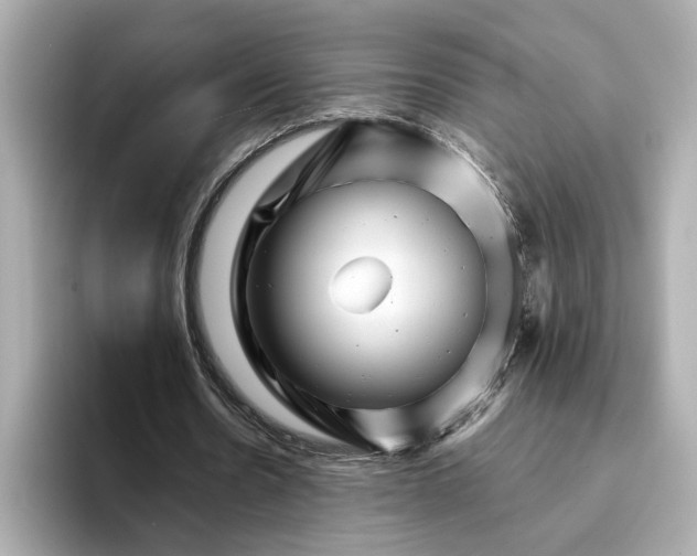 X0000095130530200712211332