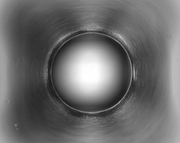 X0000095130531200712211332