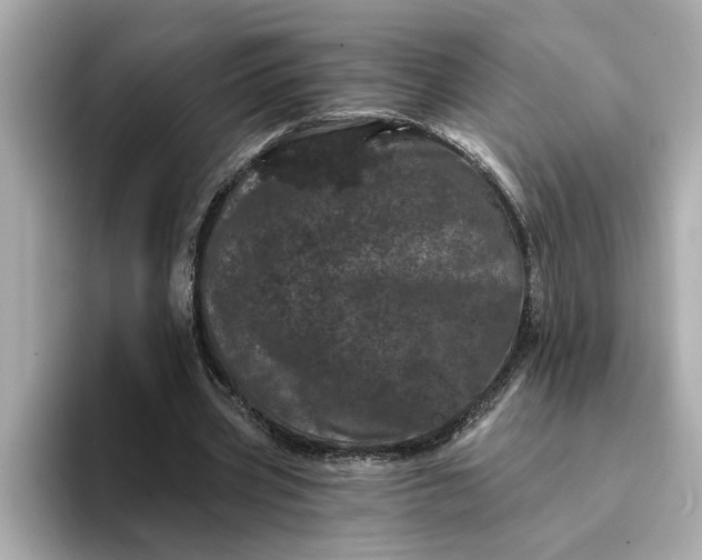 X0000095130533200712211332