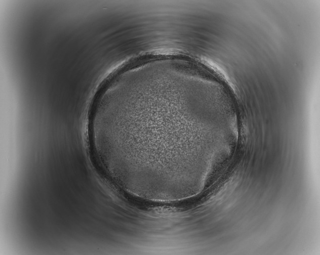 X0000095130535200712211332