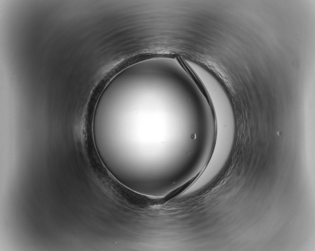 X0000095130536200712211332