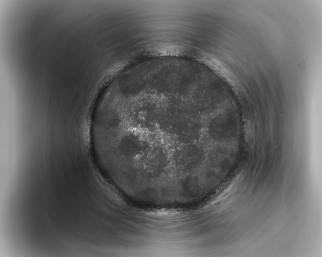 X0000095130537200712211332