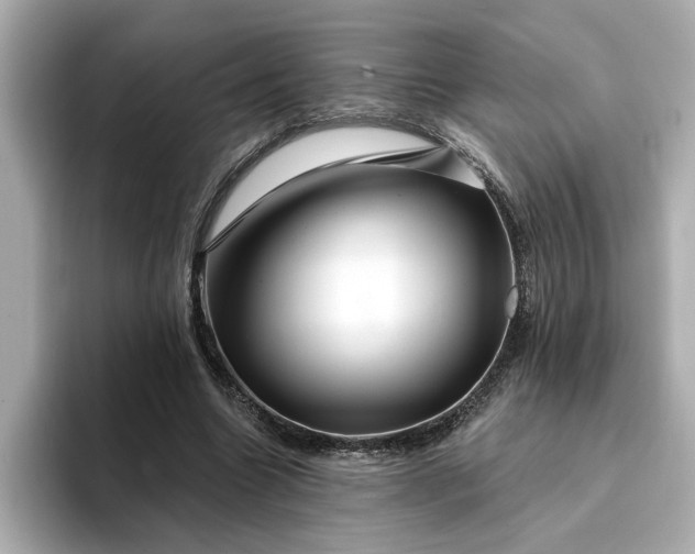 X0000095130538200712211332