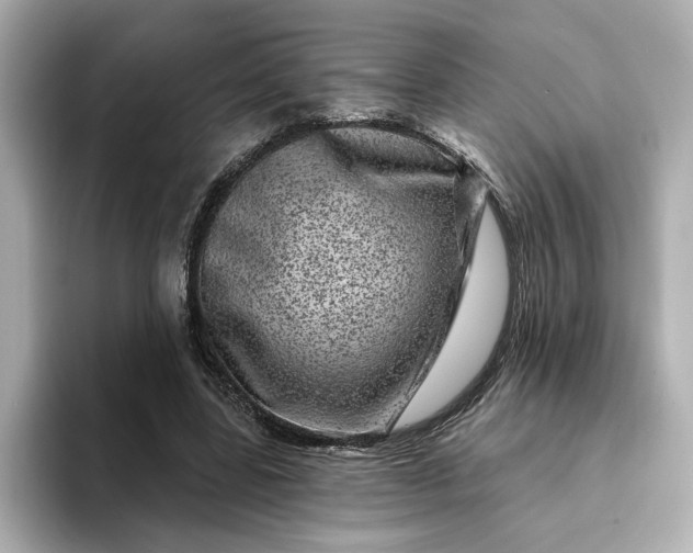 X0000095130539200712211332