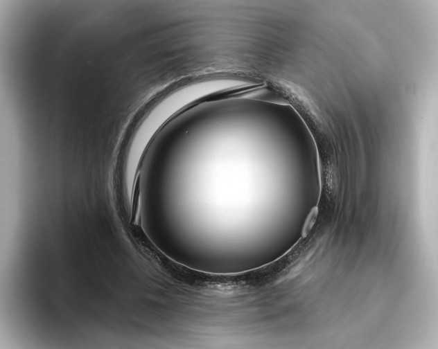 X0000095130540200712211332