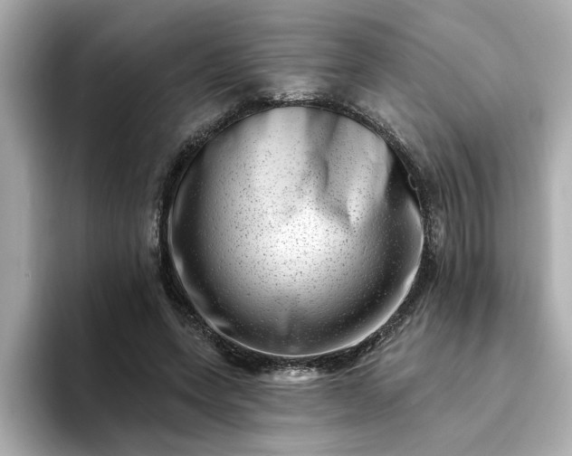 X0000095130543200712211332