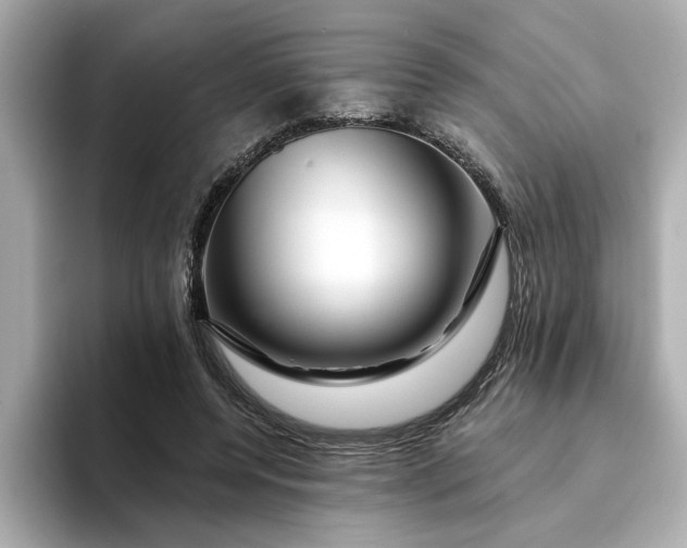 X0000095130544200712211332