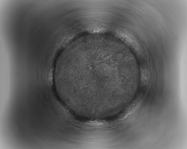 X0000095130545200712211332