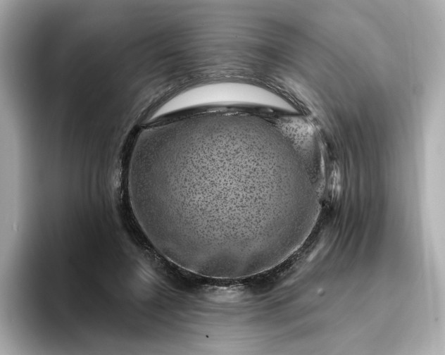 X0000095130548200712211332