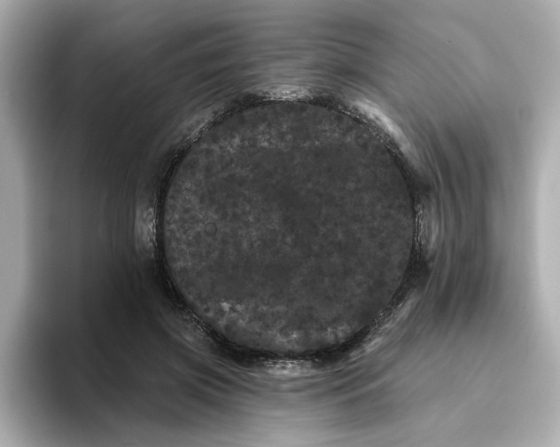 X0000095130549200712211332