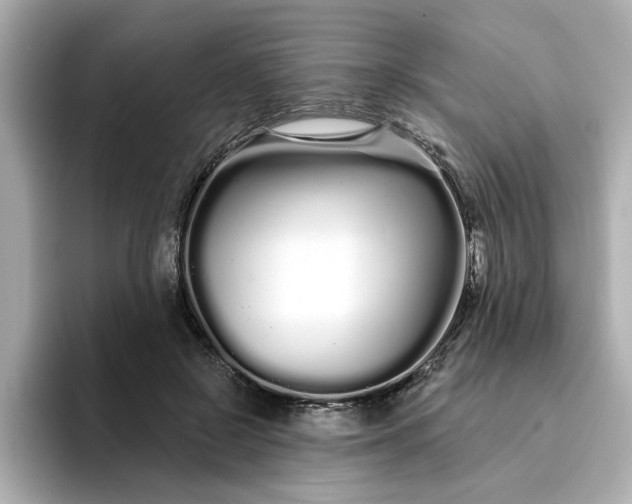 X0000095130550200712211332