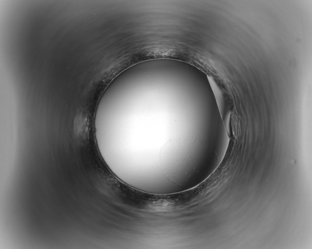 X0000095130551200712211332