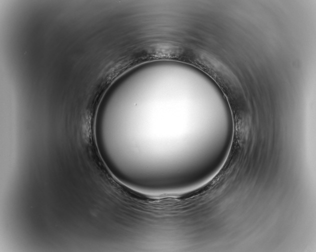 X0000095130554200712211332