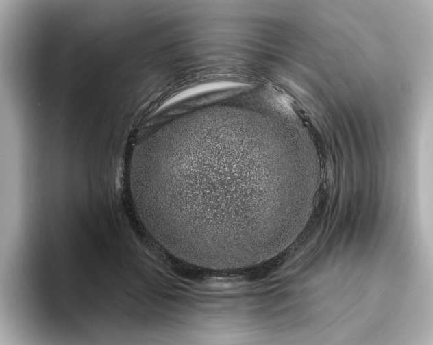 X0000095130556200712211332