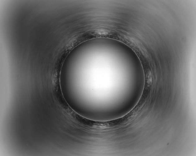 X0000095130559200712211332