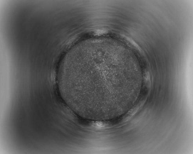 X0000095130565200712211332