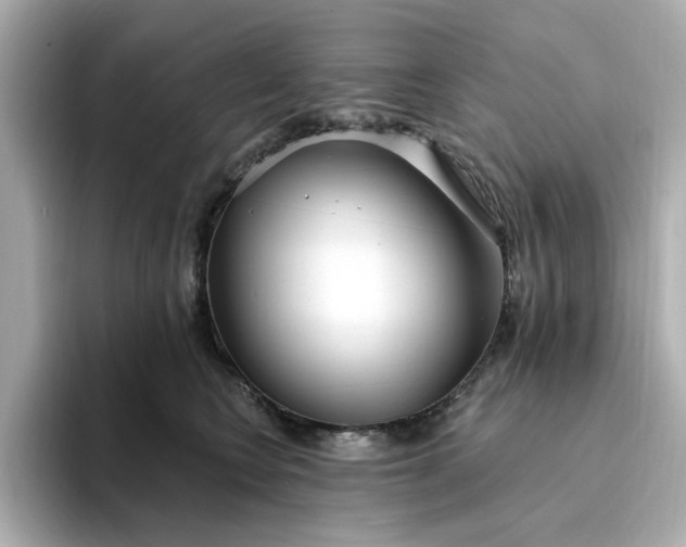 X0000095130566200712211332