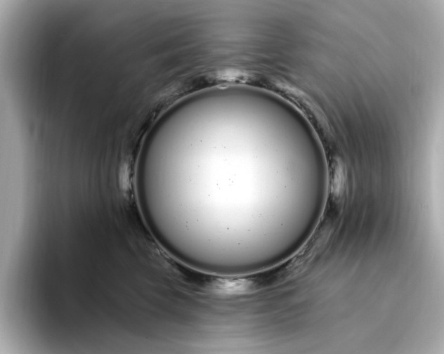 X0000095130569200712211332