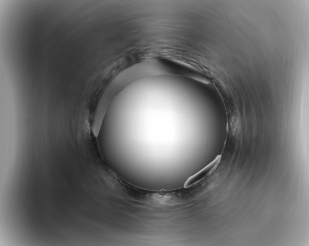 X0000095130570200712211332