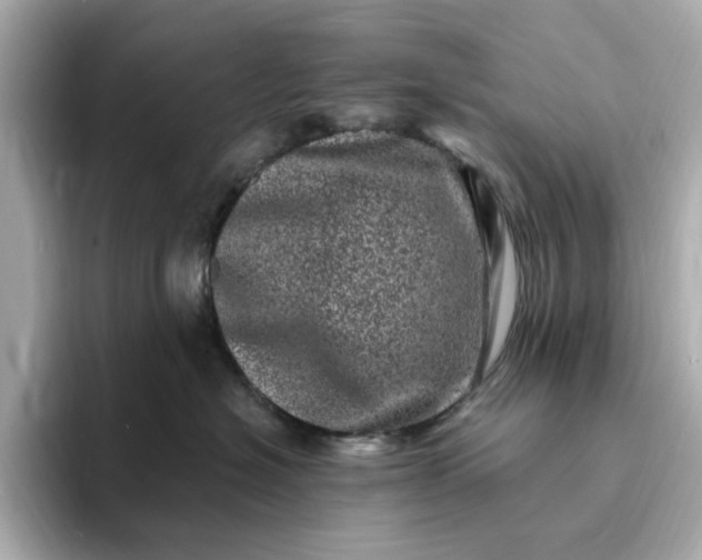 X0000095130574200712211332