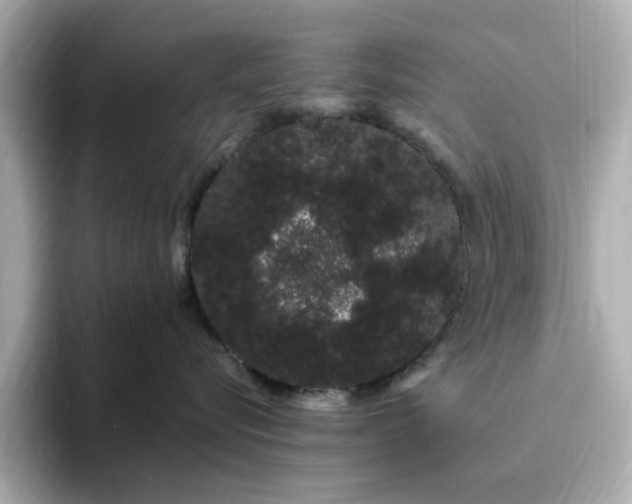 X0000095130576200712211332