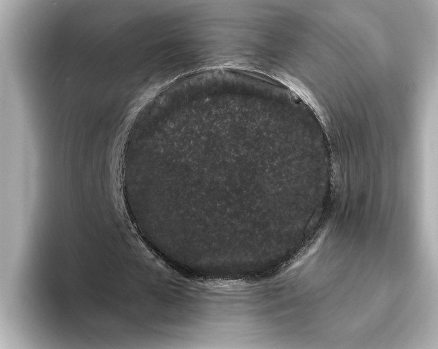 X0000095130577200712211332