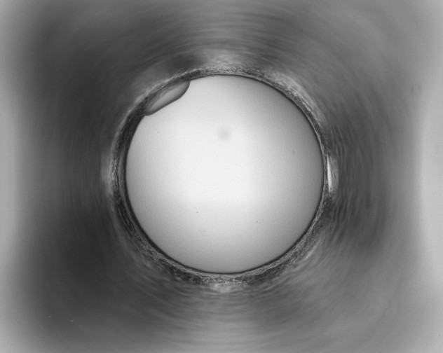 X0000095130579200712211332