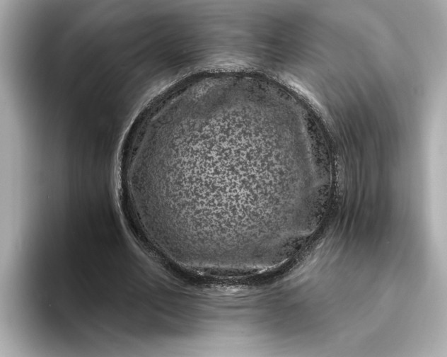 X0000095130582200712211331