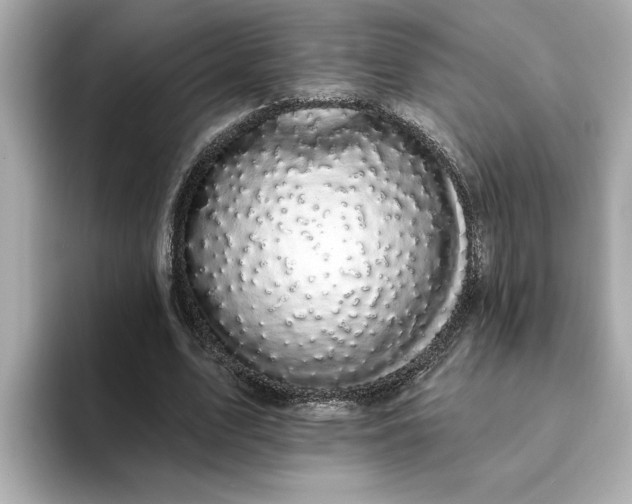 X0000095130583200712211331