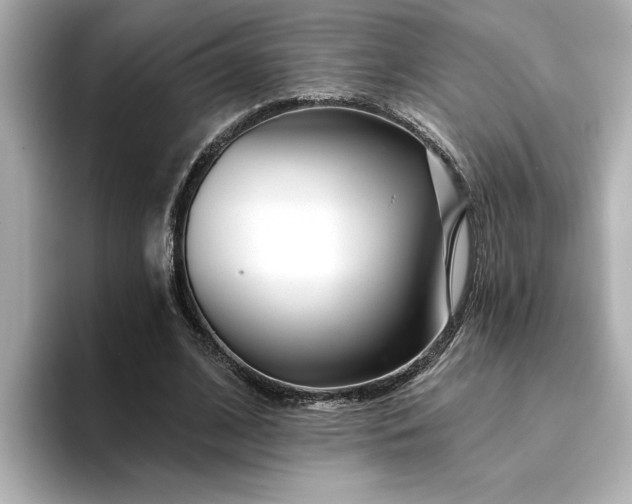 X0000095130584200712211331