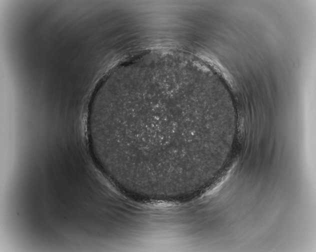 X0000095130585200712211331