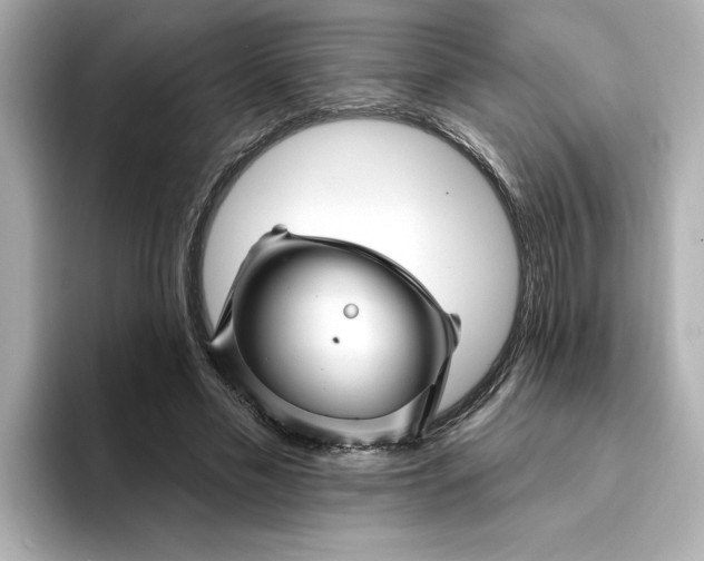 X0000095130589200712211331