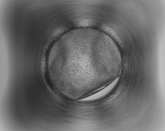 X0000095130590200712211331