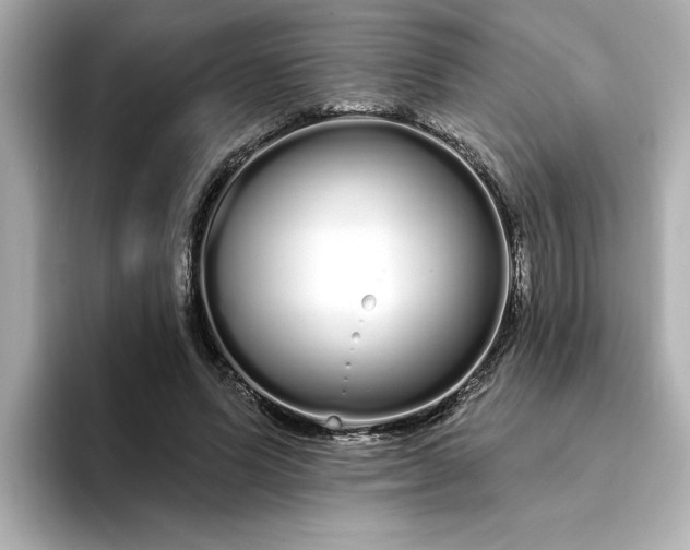 X0000095130591200712211331