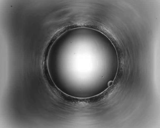 X0000095130592200712211331