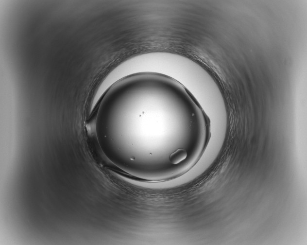 X0000095130593200712211331