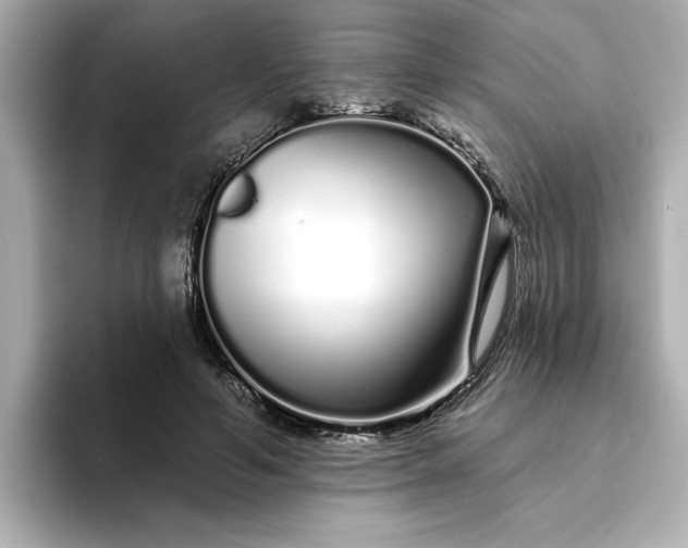 X0000095130594200712211331