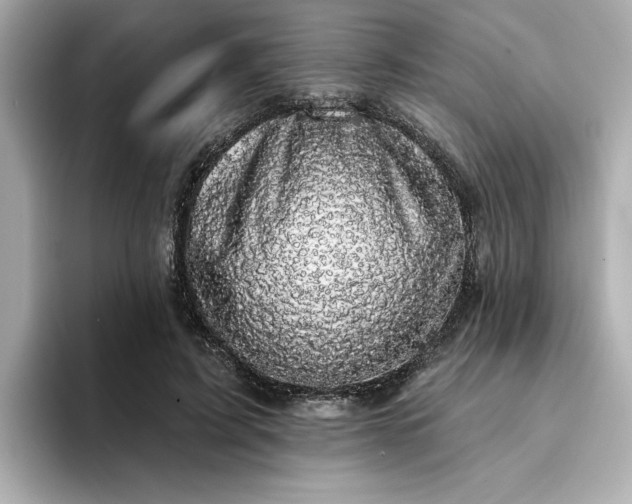 X0000095130595200712211331