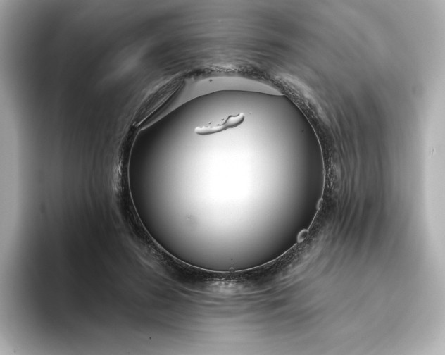 X0000095130596200712211331