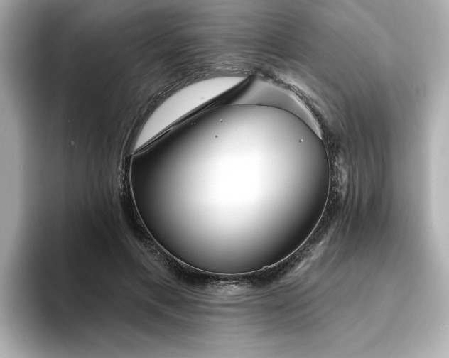 X0000095130597200712211331