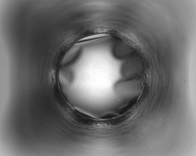 X0000095130598200712211331