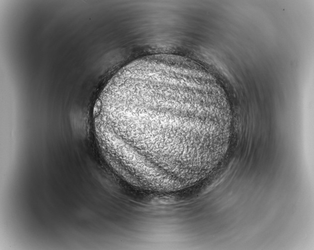 X0000095130599200712211331