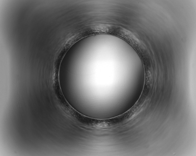 X0000095130600200712211331